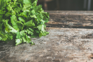 beneficios y usos del cilantro